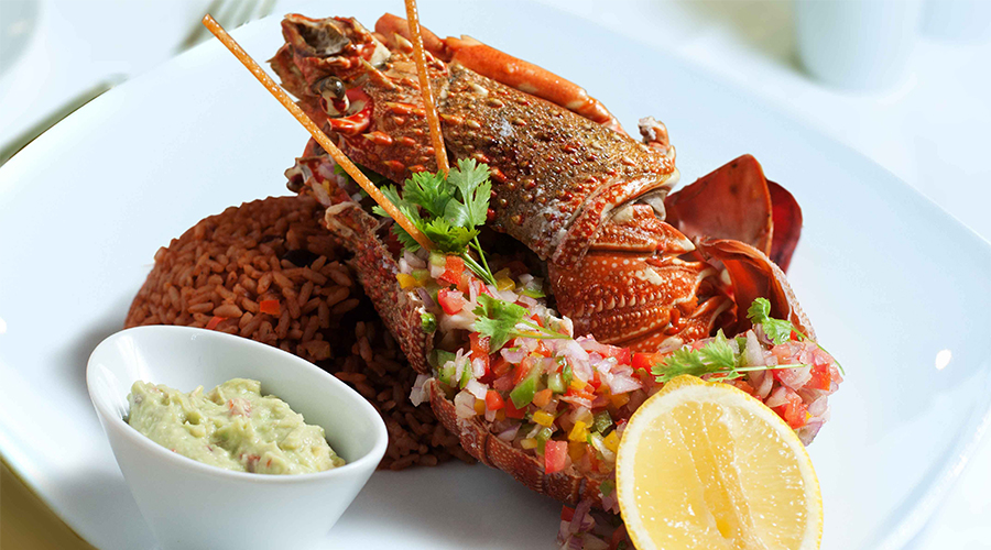 Dining & Entertainment